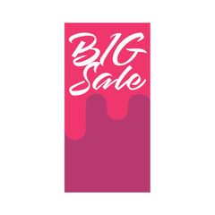 Big sale banner vector