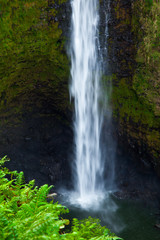 Fototapeta na wymiar Waterfall Base