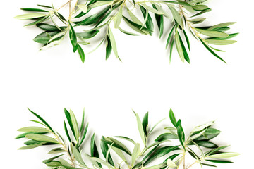 A photo of a frame of olive tree branches and leaves with copy space, shot from above on a white background with a place for text, organic banner
