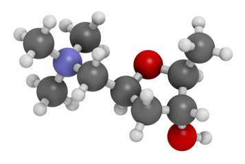 Muscarine mushroom toxin molecule. Agonist of the muscarinic acetylcholine receptors. 3D rendering. Atoms are represented as spheres with conventional color coding: hydrogen (white), etc