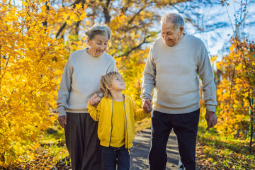 Senior couple with baby grandson in the autumn park. Great-grandmother, great-grandfather and...