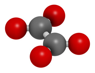 Oxalate anion, chemical structure. Oxalate salts can form kidney stones. 3D rendering. Atoms are represented as spheres with conventional color coding: carbon (grey), oxygen (red).