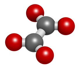 Oxalate anion, chemical structure. Oxalate salts can form kidney stones. 3D rendering. Atoms are represented as spheres with conventional color coding: carbon (grey), oxygen (red).