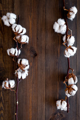 Fototapeta na wymiar White dried flowers of cotton on dark wooden background top view copy space