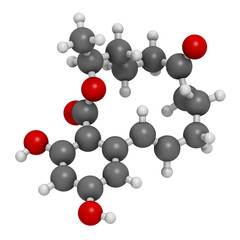 Zearalenone (ZEN) mycotoxin molecule. Produced by some Fusarium and Gibberella species. 3D rendering. Atoms are represented as spheres with conventional color coding.