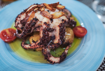 Portuguese style grilled octopus