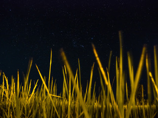 sky and stars at the field