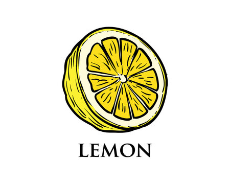 Hand Drawing Vector Fresh Yellow Lemon Fruits Sign Symbol Icon Logo Template Design Inspiration