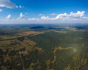 Fototapeta premium View of the burned forest from a height