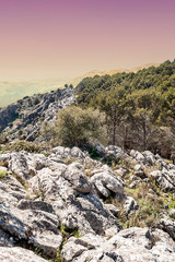 Fototapeta na wymiar Mountains of Frigiliana in Andalusia