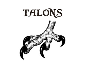 Fototapeta premium Ręka wektor rysunek pazury orła szpony stopy znak symbol ikona logo szablon projektu inspiracji