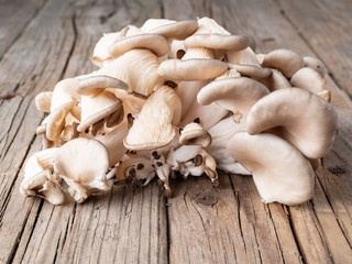 edible mushroom oyster mushroom on old rustic wooden table, side