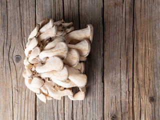 edible mushroom oyster mushroom on old rustic wooden table, side view
