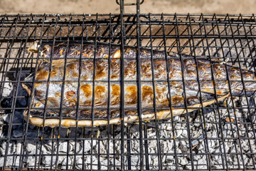 Snoek fish barbeque braai