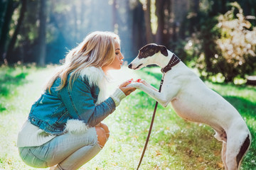 beautiful adorable happy blonde woman owner kissing her whippet outdoor
