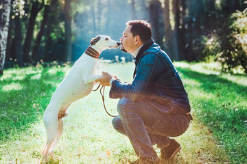 portrait of handsome man in jeans clothes with whippet dogs outdoor - healthy lifestyle. Pets, love...