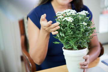 Crop shot of woman at table with white flowerpot and blooming green plant in it