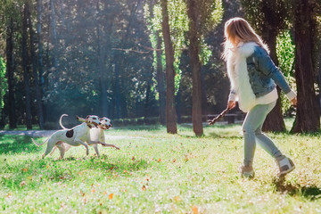 Naklejka na ściany i meble beautiful adorable happy blonde woman owner with her two white whippet outdoor