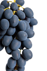 Black grapes with drop of water isolated on white background