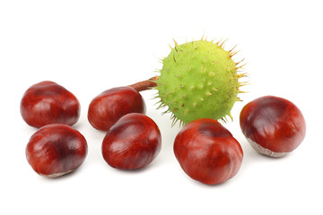 chestnuts isolated on white background. Healthy background.