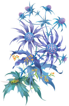 Floral composition of sea holly flowers and cricket. Isolated on white background.