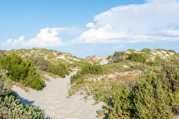 Fototapeta na wymiar Noordhoek Dunes