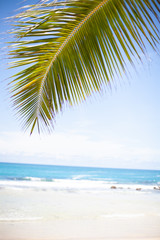 Landscape photo of beautiful white sand exotic beach on Mahe island in Seychelles