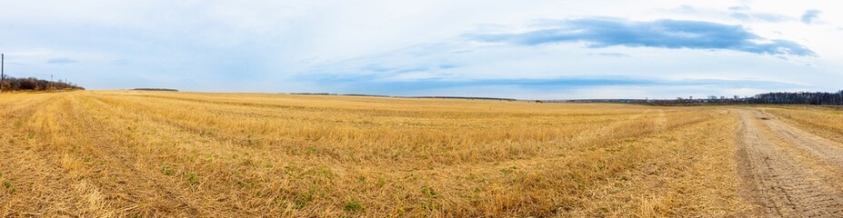 Obraz premium Beautiful panorama landscape of golden field and dark stormy sky. Autumn morning in countryside. 