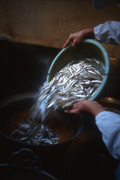 わかさぎの紅梅煮作り