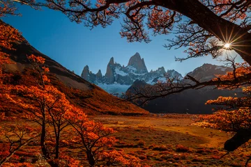 Deurstickers Cerro Chaltén Mooie herfst uitzicht Fitz Roy berg. Patagonië, Argentinië