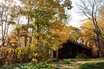 北海道、開拓の村の秋の風景