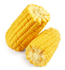 Corn on the cob kernels