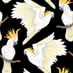 Seamless pattern, background with tropical birds © Elen  Lane