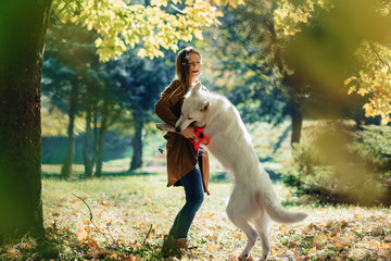 Obraz premium girl walks at autumn park with young white Swiss shepherd dog