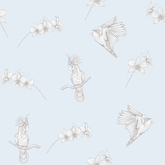 Fototapeta premium Seamless pattern, background with tropical birds