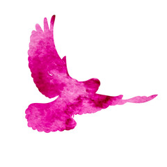 isolated pink watercolor bird silhouettes