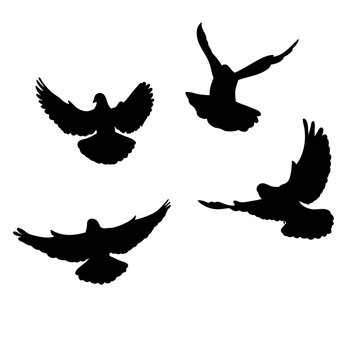 isolated set of flying birds silhouettes