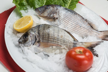 greek food greek restaurant greek lifestyle seafood