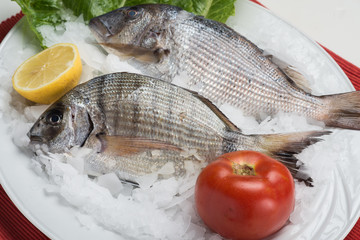 greek food greek restaurant greek lifestyle seafood