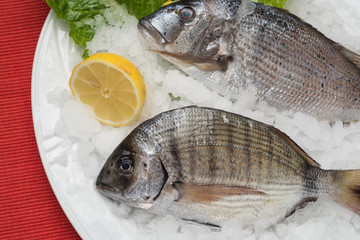 greek food greek restaurant greek lifestyle seafood