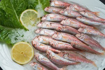 greek food greek restaurant greek lifestyle seafood