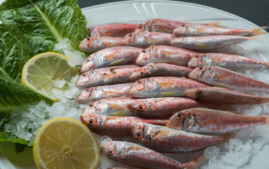 greek food greek restaurant greek lifestyle seafood