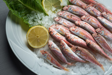 greek food greek restaurant greek lifestyle seafood