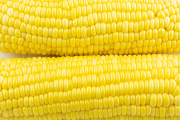 close up corn isolated on white background