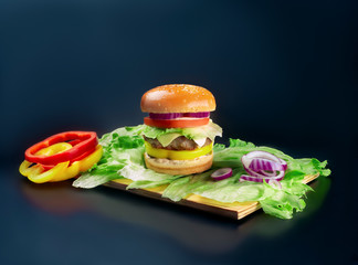 fresh and juicy hamburger