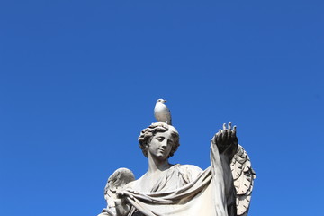 Gabbiano su Monumento