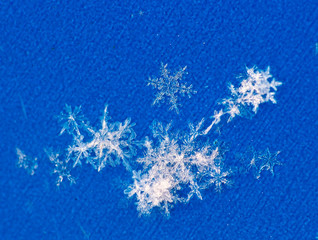macro photo of real snowflakes against blue background