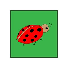 Ladybird in green square. Illustration ladybug on white background. Cute colorful sign insect symbol spring, summer, garden. Template for t shirt, apparel, card. Design element. Vector illustration.