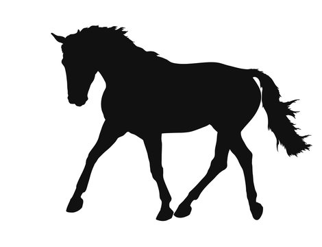 A silhouette of a freely trotting horse.