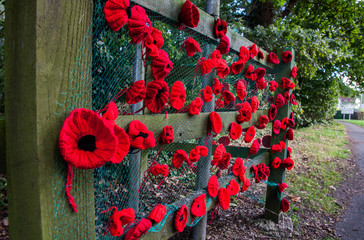 Vibrant red crochet poppy seed flowers attached to the fence near the pathway of an English town, in readiness for the Remembrance Sunday celebration